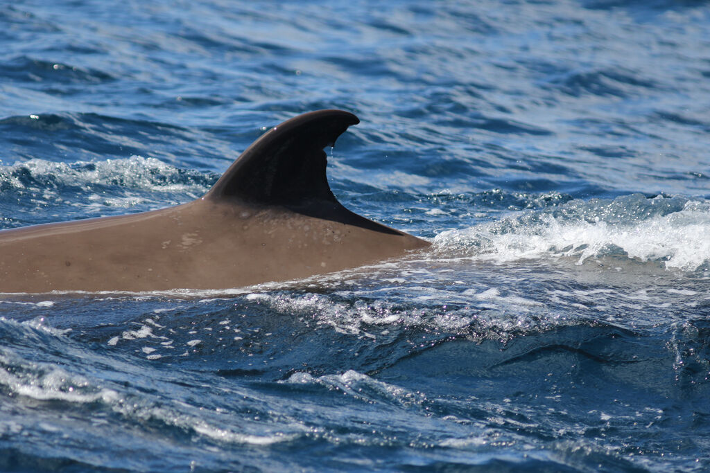 3b1f0809-107b-4586-8298-0f1e669e6c82