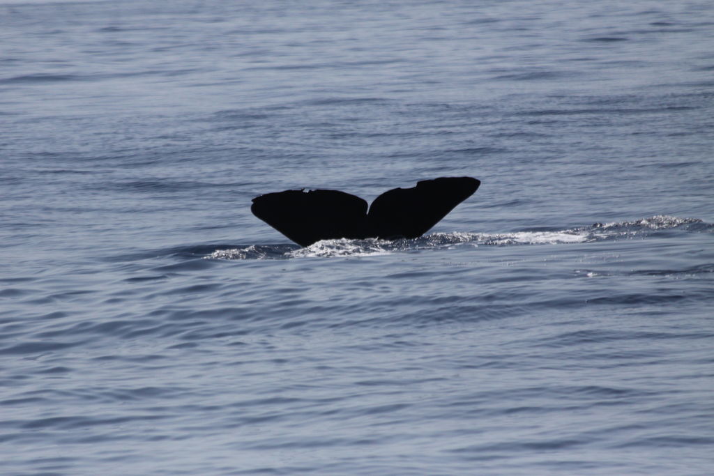 d5692186-aba6-49f8-905a-45b47af1f020