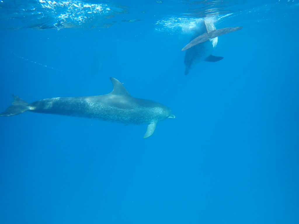 2c908313-d00f-4456-8a70-e25bd0b349e4