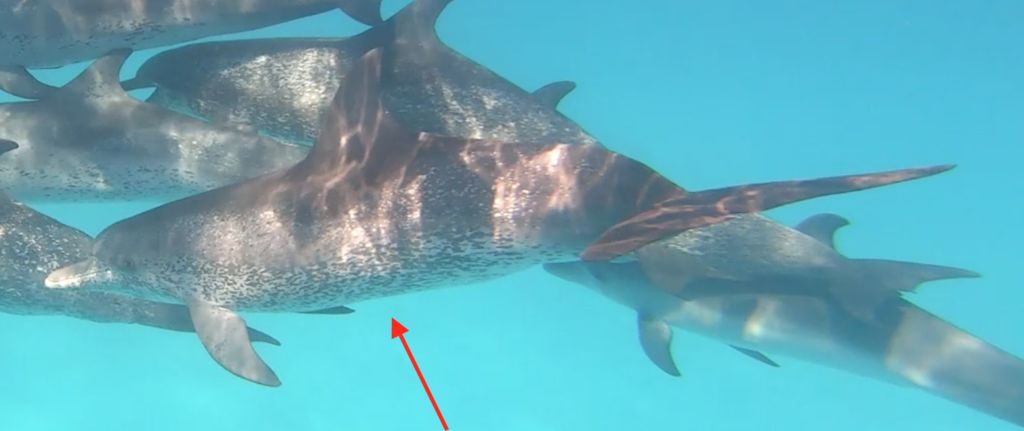 2c908313-d00f-4456-8a70-e25bd0b349e4