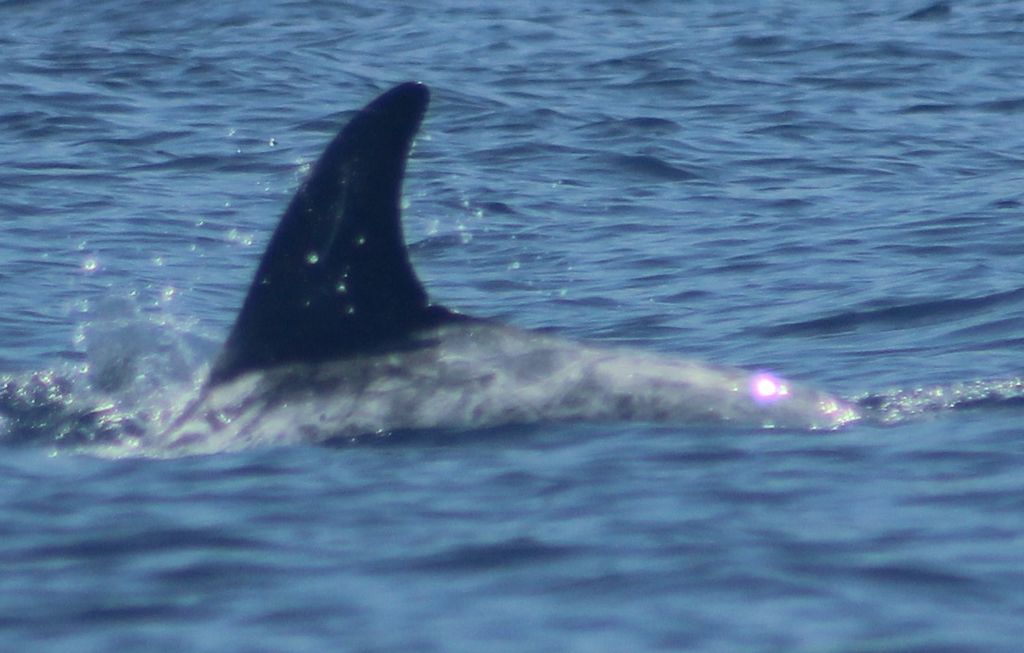 a0da8905-2a9f-400d-b420-ed1c7ac2d6bb