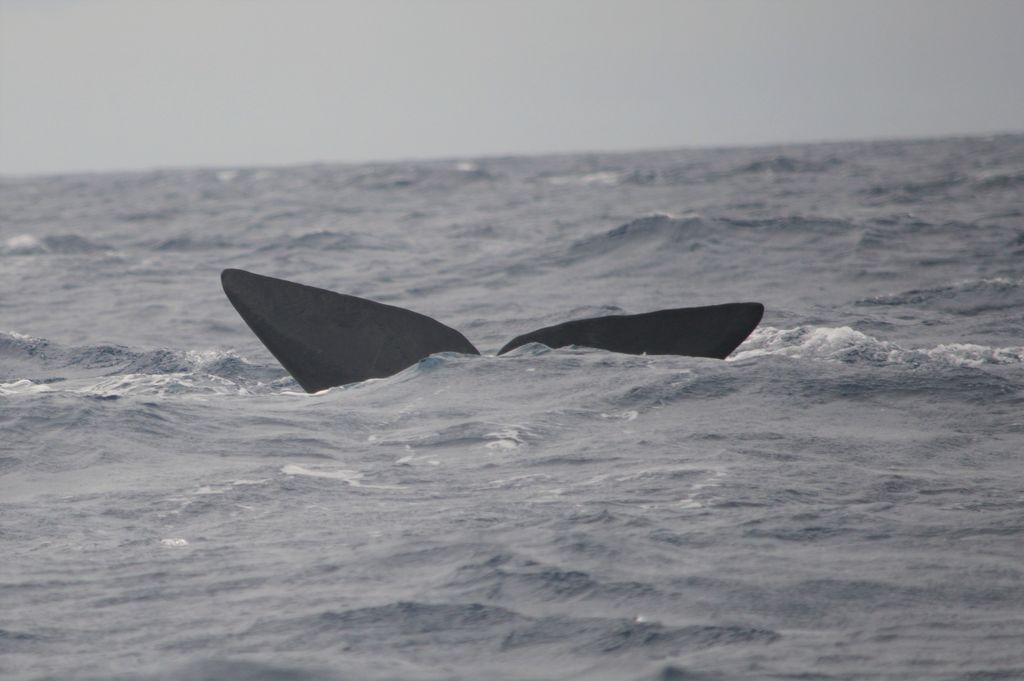 cc4fd7d3-ad4a-4f3a-b0a5-07b3a8e12f94