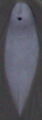 f171a95f-baab-421d-a053-ea8eb9f586c4