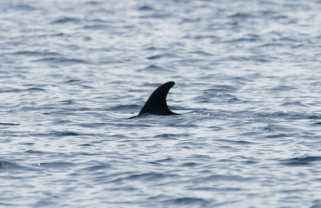 37421672-3409-4af2-bb5d-437e8ab62c73