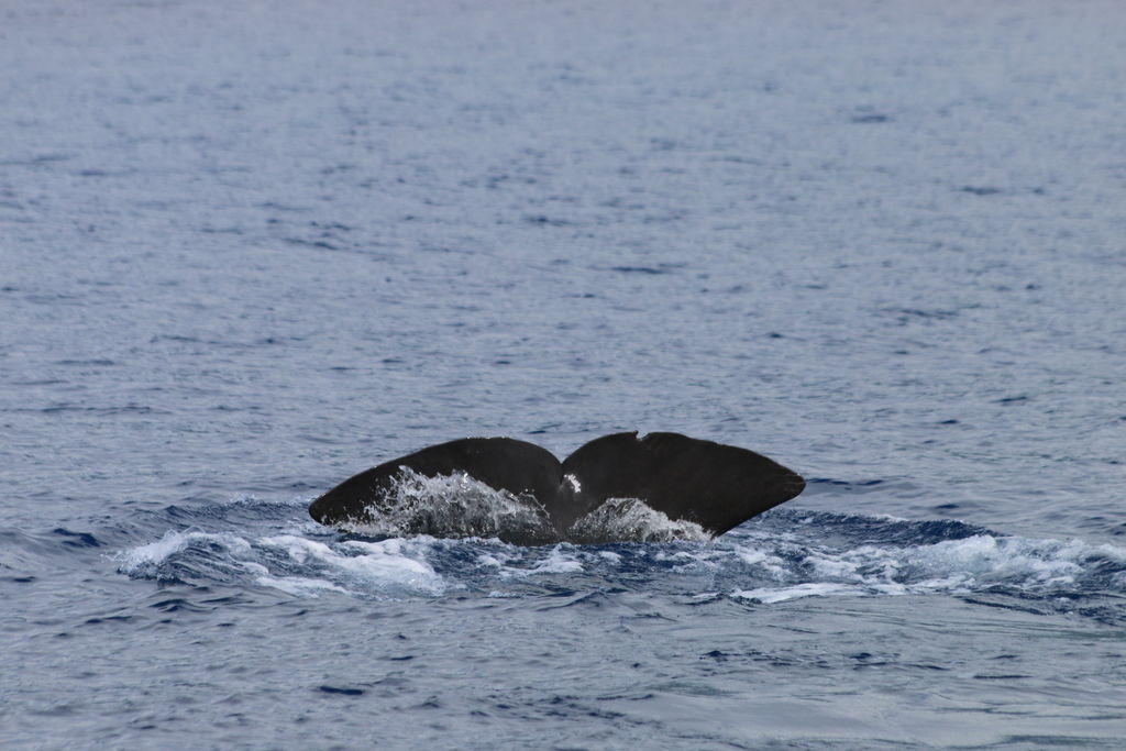 bfabec9e-2494-4593-a95f-158eec58ece6