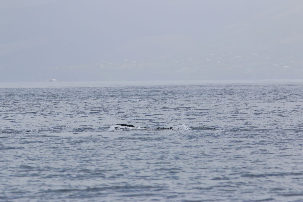 1cc2f976-8a57-4b71-a1cf-05e9ab011473