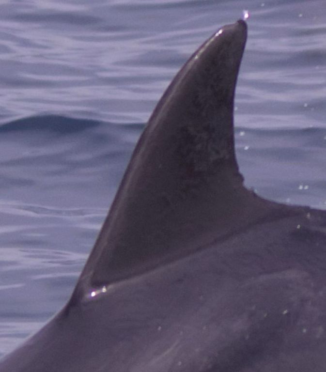 14947fd6-5282-4b06-b319-3c038c495183