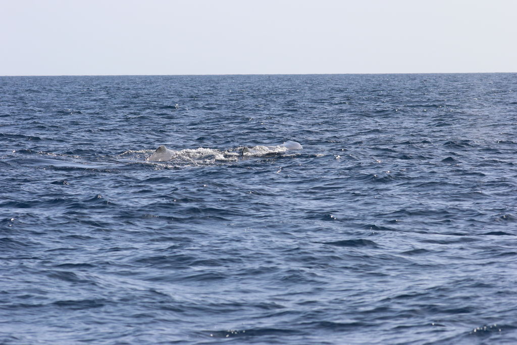 8e105751-f956-4eb2-8914-904a1c6f13ec