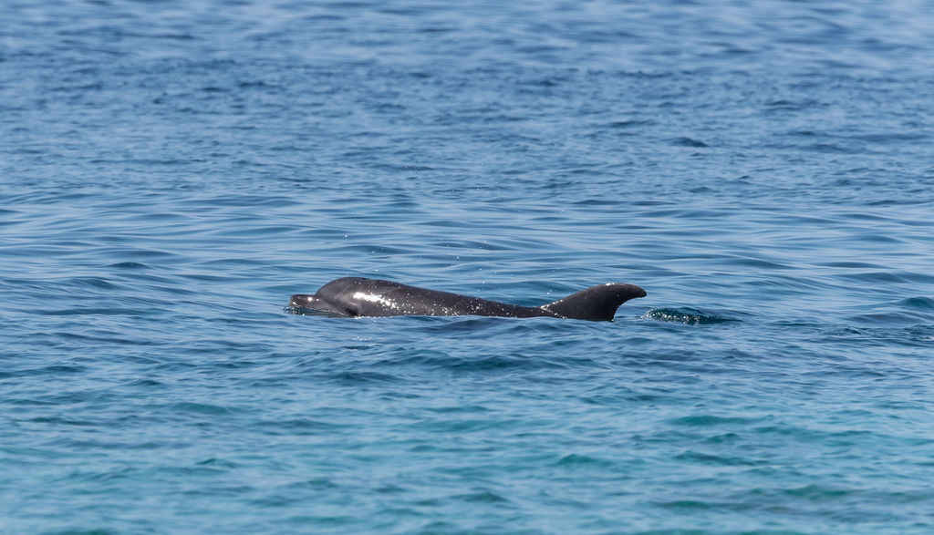 37421672-3409-4af2-bb5d-437e8ab62c73