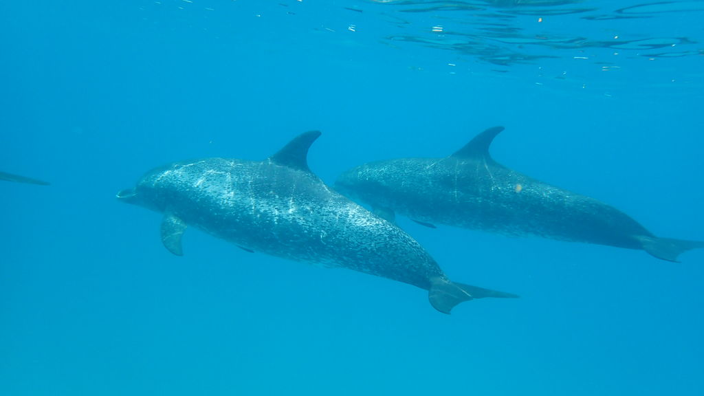 35d0fd81-c165-4c46-a086-41388c78b5de