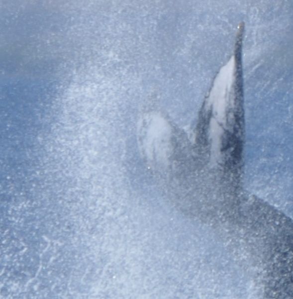 2c208ef4-484c-4968-958e-a7e5f9095f7f