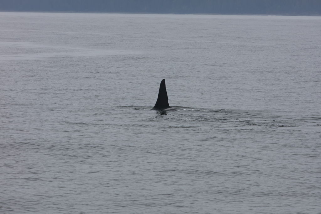 cab02390-b3c9-48aa-b208-2081920dafaa