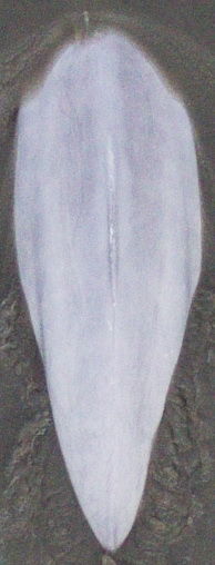 f171a95f-baab-421d-a053-ea8eb9f586c4