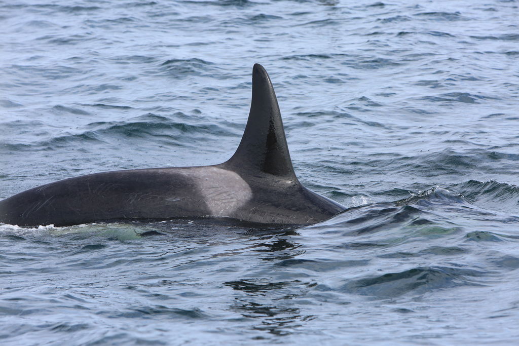 4ed20365-0481-417e-99a8-c77f5acc72c9