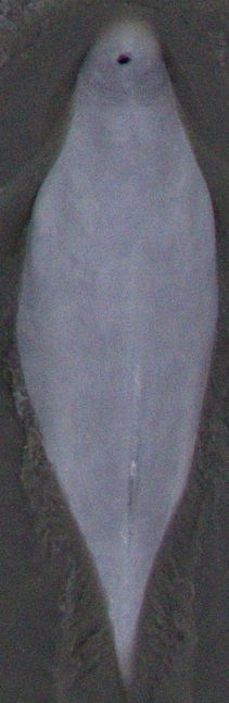 f171a95f-baab-421d-a053-ea8eb9f586c4