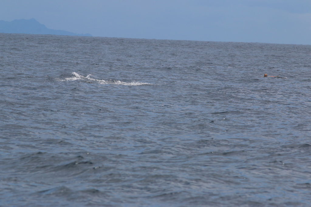 1c05b5fc-6429-4728-8e02-a4b93d0a2b46