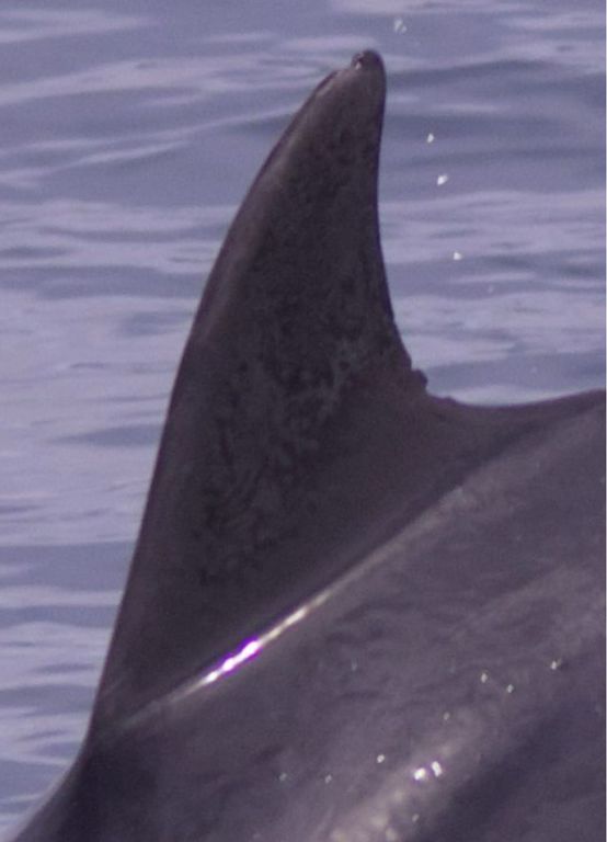 14947fd6-5282-4b06-b319-3c038c495183