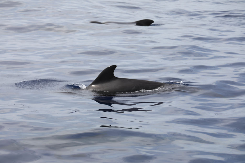 4549030b-5c9e-4c4d-b8ca-ac8f9d345647