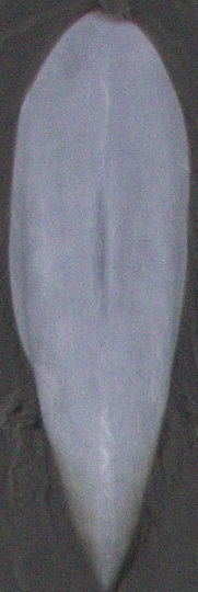 ecee3c53-4fc1-462a-b87b-d71bb7472dac