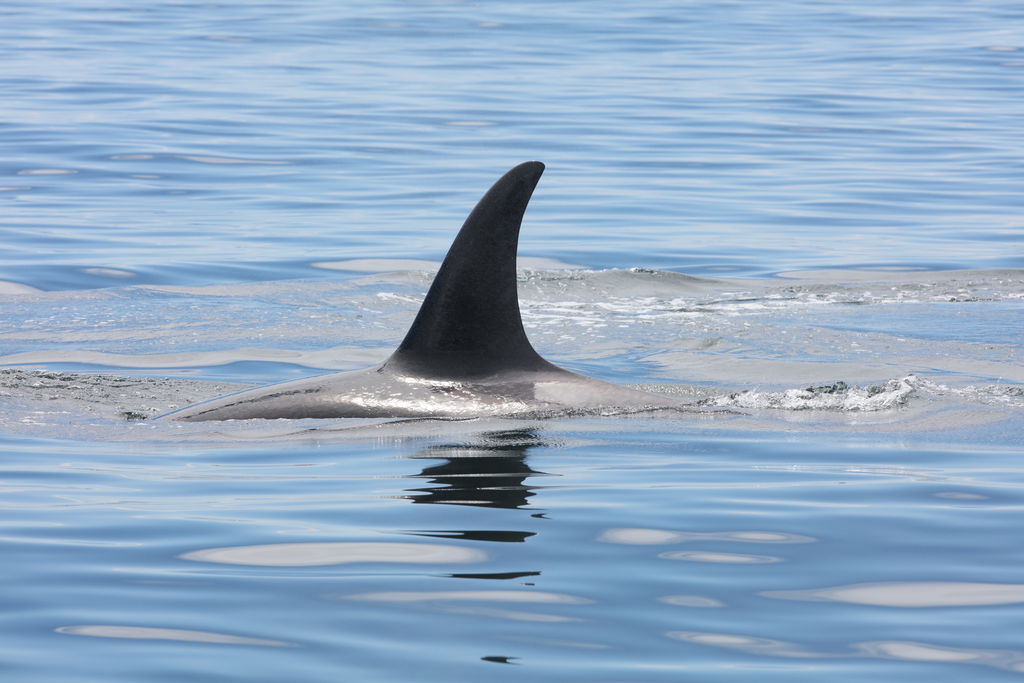 4ed20365-0481-417e-99a8-c77f5acc72c9