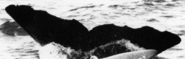 1cc2f976-8a57-4b71-a1cf-05e9ab011473