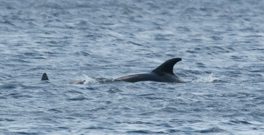 37421672-3409-4af2-bb5d-437e8ab62c73