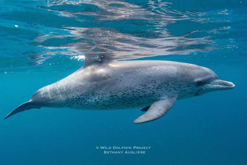 2c908313-d00f-4456-8a70-e25bd0b349e4