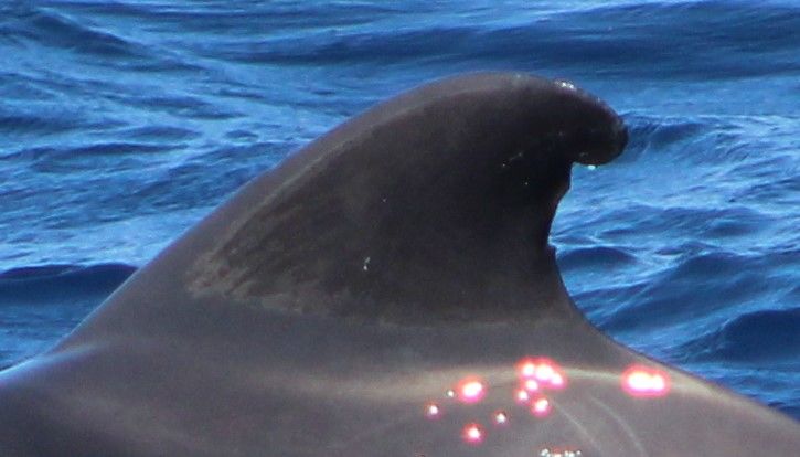 20997fad-a062-4d6e-869f-e4e04035fda4