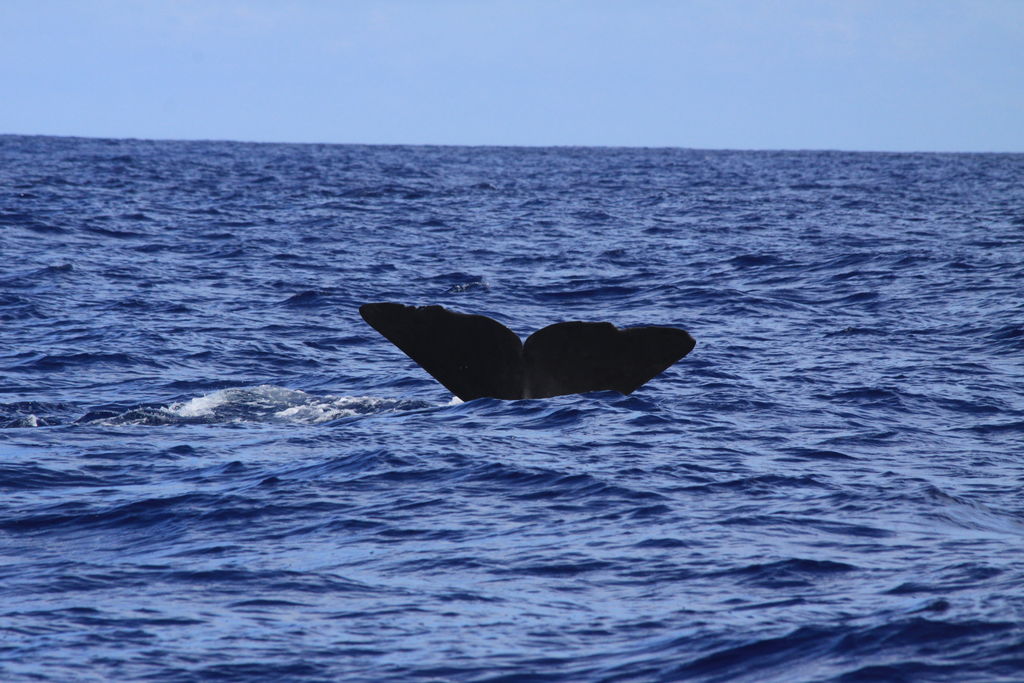 7f7cc764-4ac8-42f1-ae96-4325bf0128cd