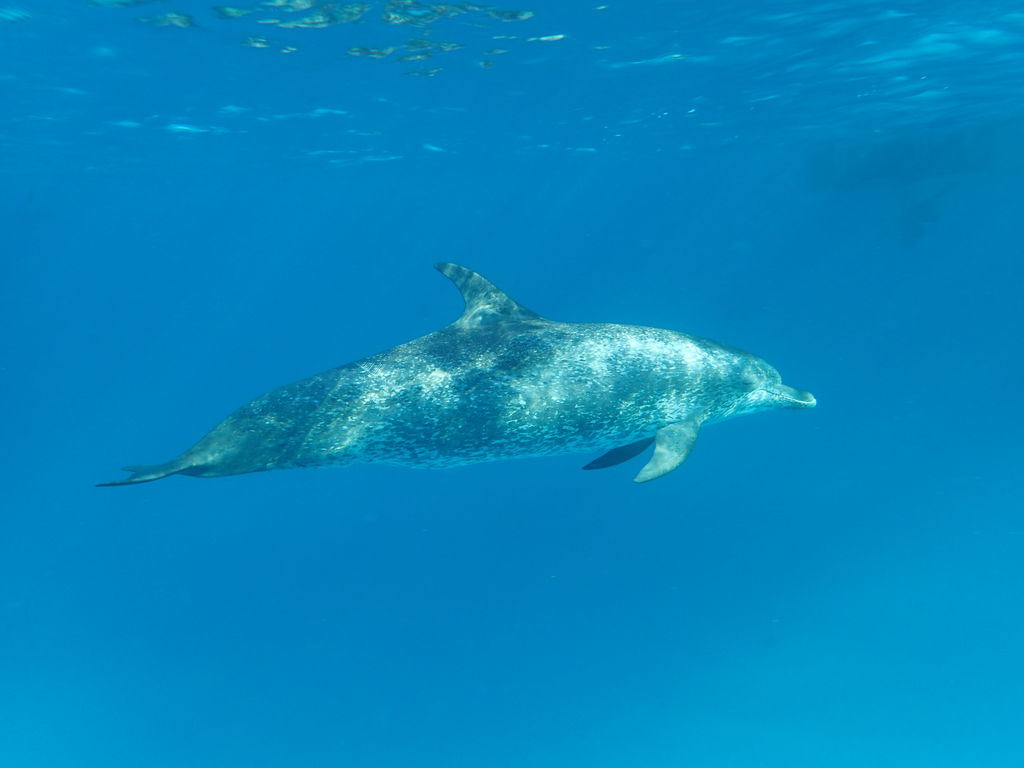 35d0fd81-c165-4c46-a086-41388c78b5de