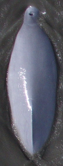 941baade-8081-4829-8fa0-6c6cfa3b0f05