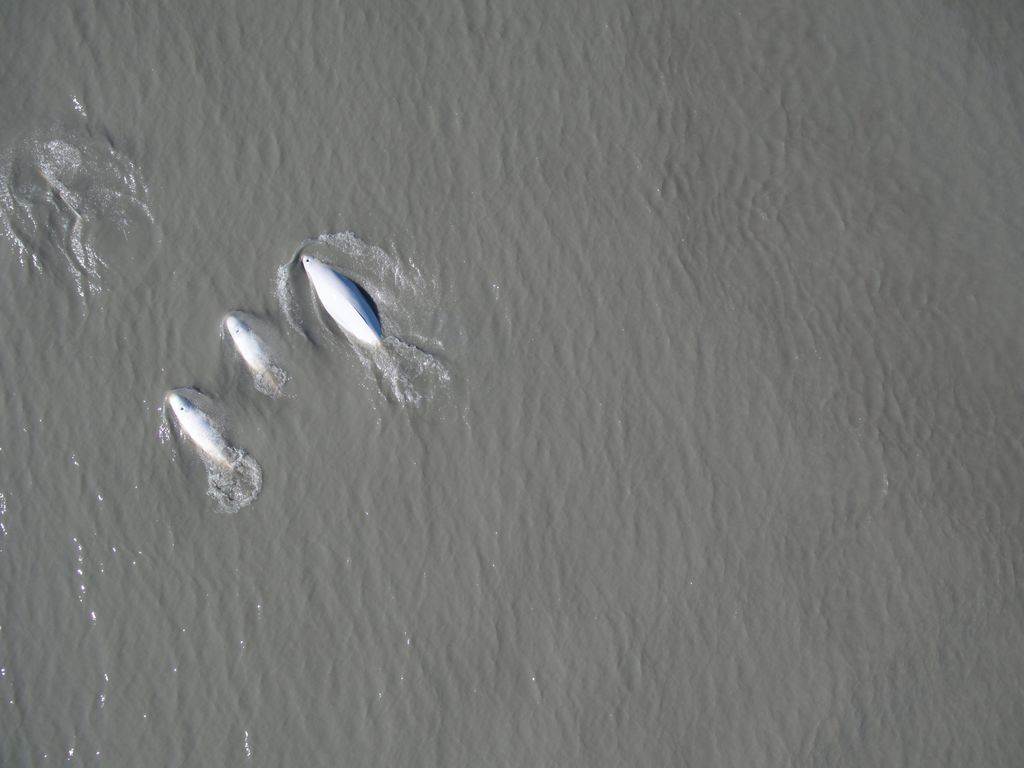 3742b6ee-60d4-4101-94ae-af2bd50b30b8