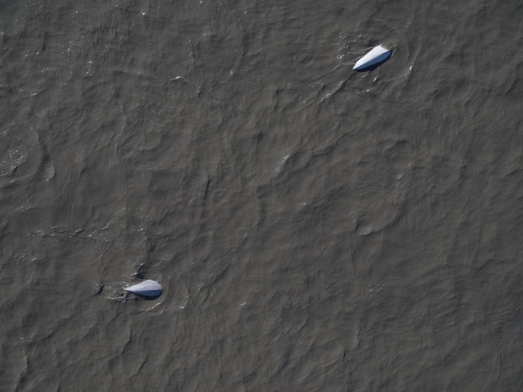 21f561d3-3a11-4a98-8557-47db755ad53d