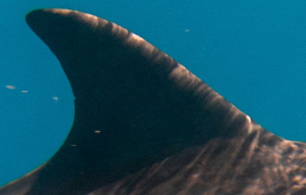 2c908313-d00f-4456-8a70-e25bd0b349e4