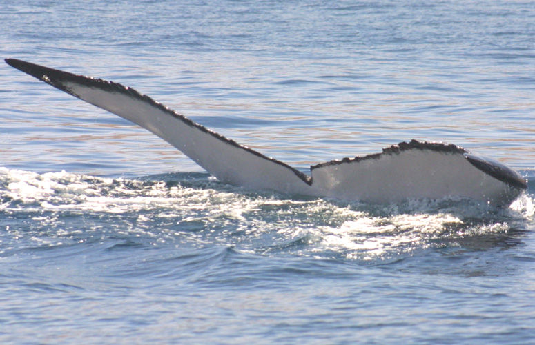 b77f76ef-f3e2-4798-9d09-c1701ed8b0f5