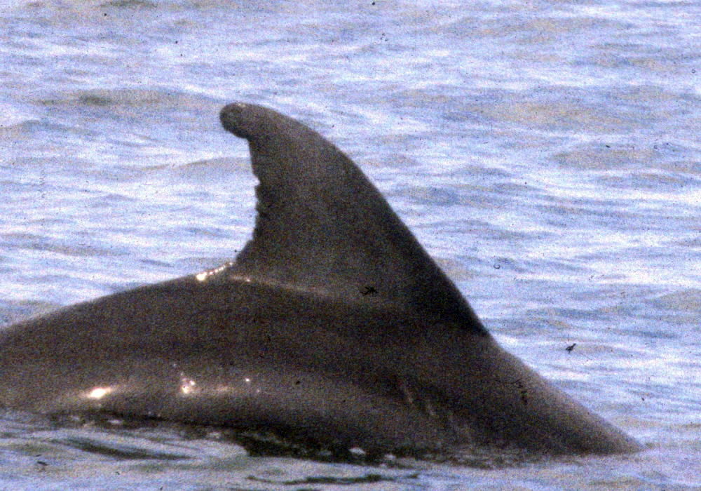 8c338c7d-f133-4c0a-a109-46e6f1b5c04b