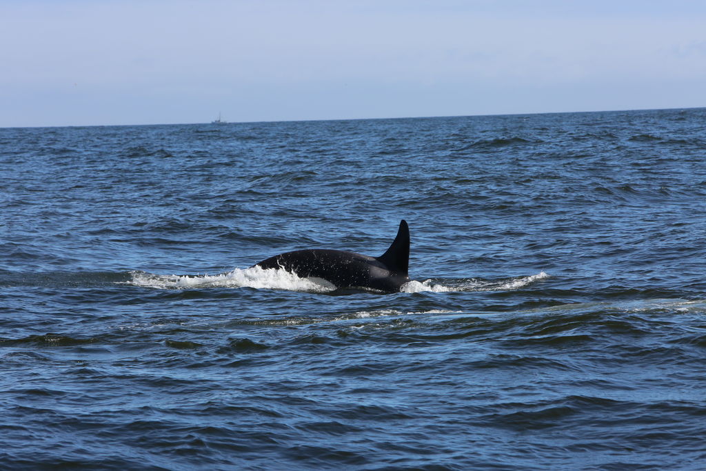 3d3ec6d9-8777-4275-8d98-ac4d23ac8b6f