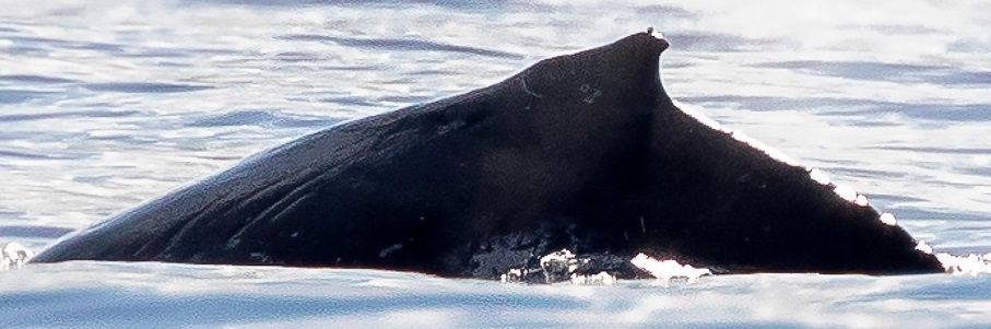 2ed611f1-38d2-4d48-b96d-72ae3978347f