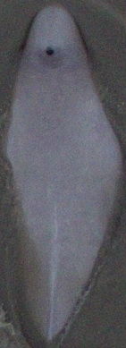 ecee3c53-4fc1-462a-b87b-d71bb7472dac