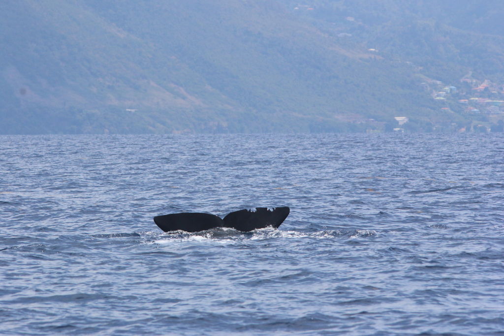 8e105751-f956-4eb2-8914-904a1c6f13ec