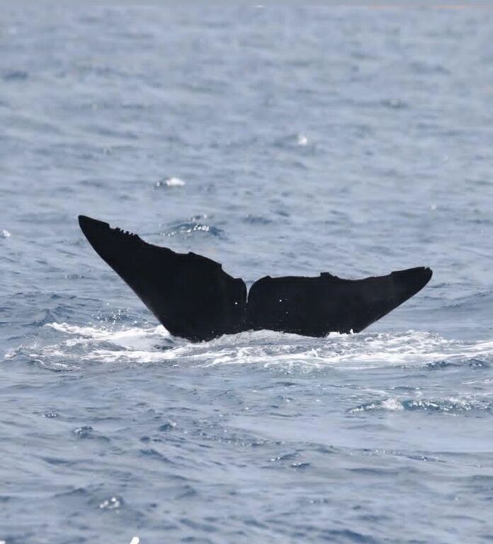 2dae1db9-a546-4b5d-9cbb-61fad72c21e3