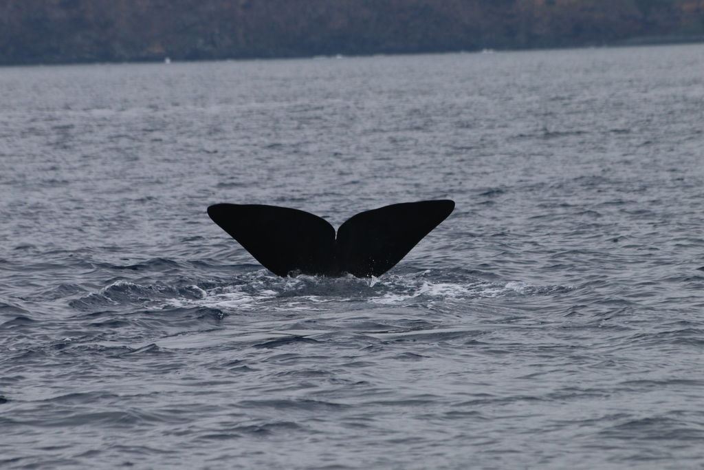 dc572b3f-77ca-4008-964b-6da8343cf20d