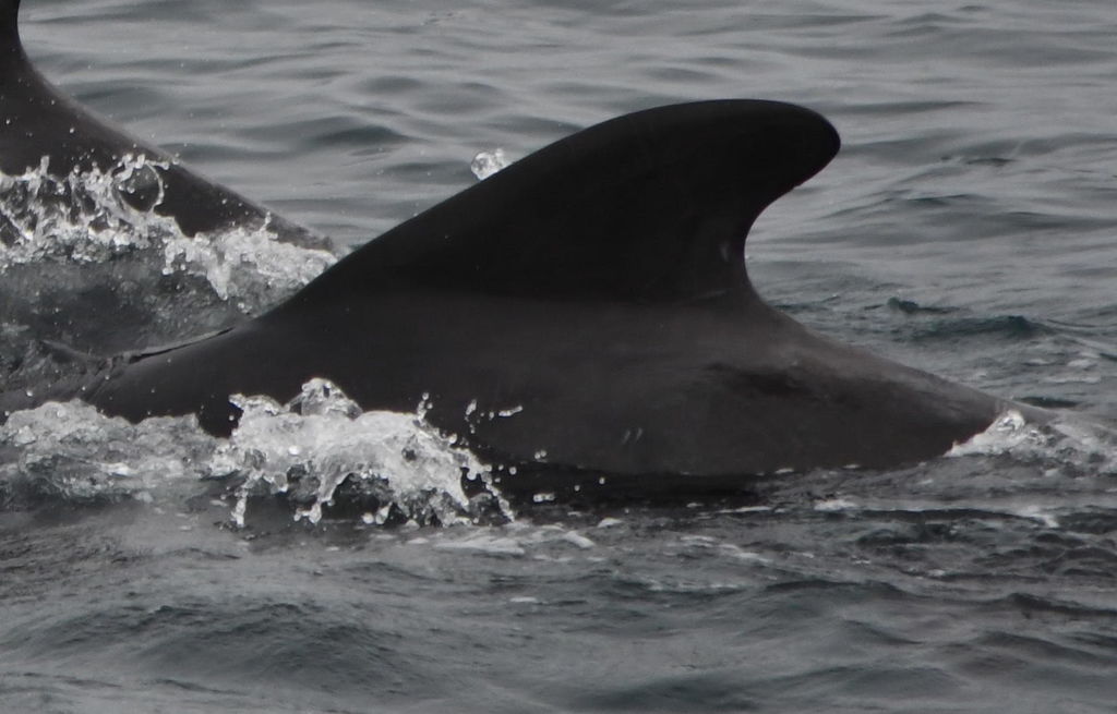 c1be3f69-1951-4682-b6fa-1dae7fb26da3