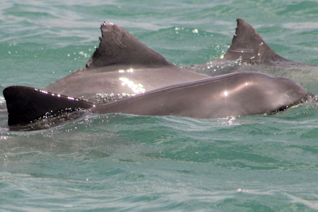 4567d23d-9a5d-464a-9386-99634b1d3593