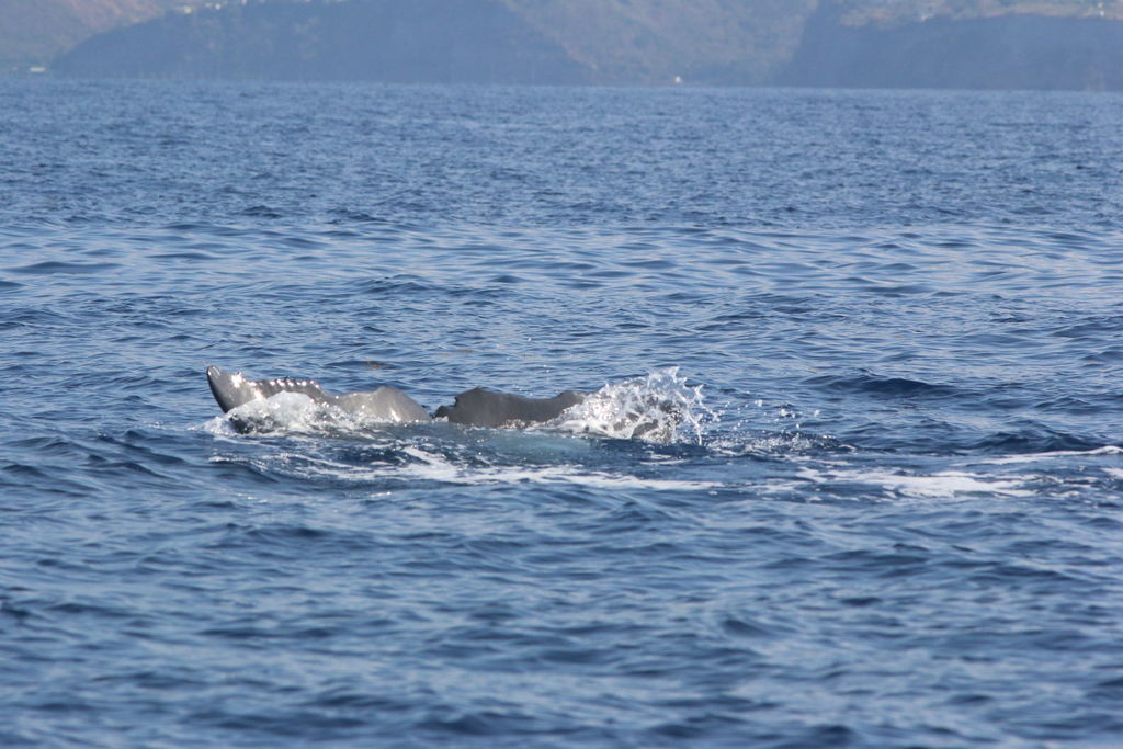 1c05b5fc-6429-4728-8e02-a4b93d0a2b46