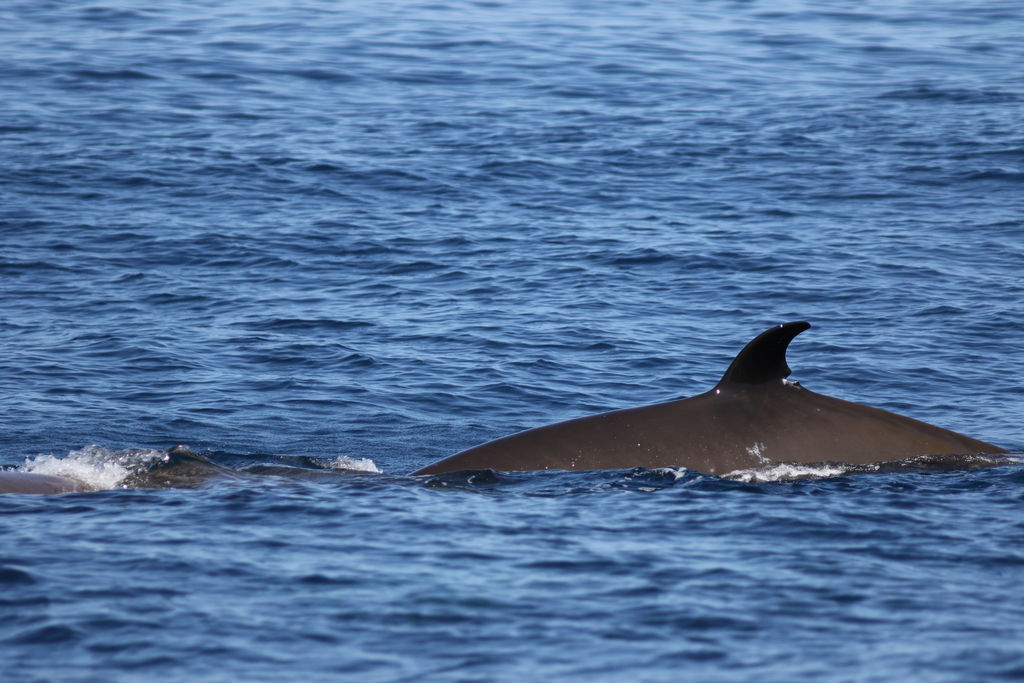 71562c2e-38d3-45c7-938e-b69dca4db793