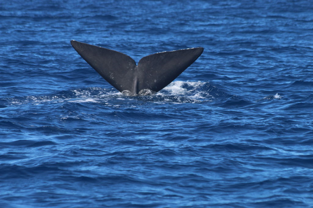 cc4fd7d3-ad4a-4f3a-b0a5-07b3a8e12f94