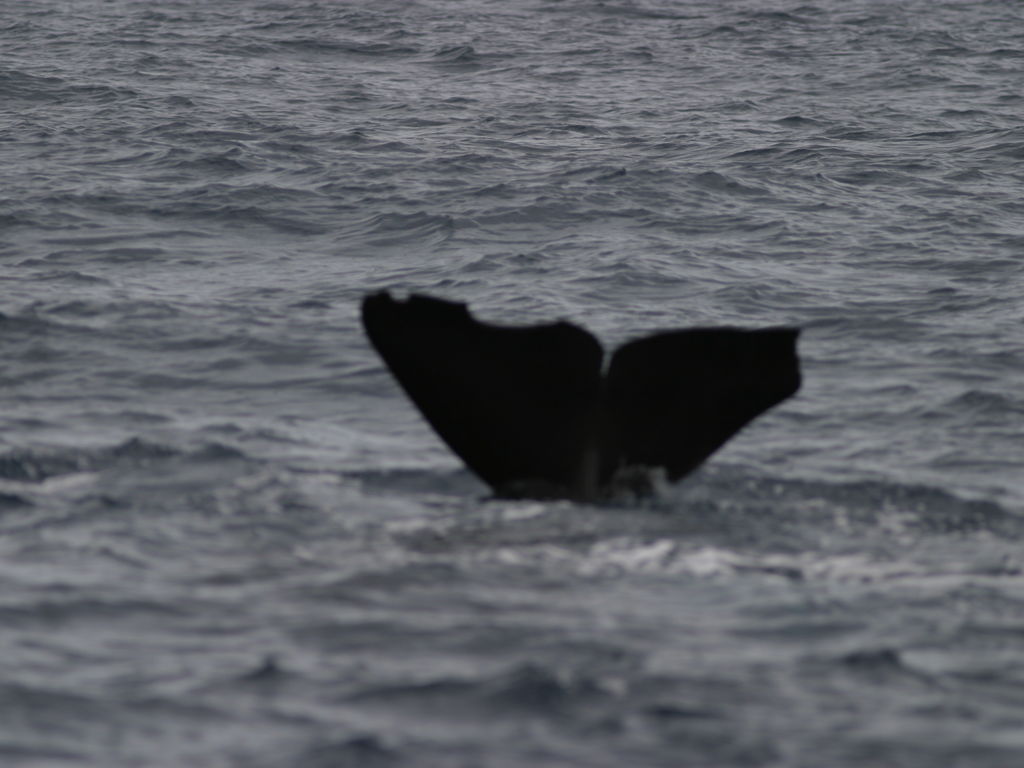 91fc995d-aa65-49dd-82f8-35f6988ce1f6