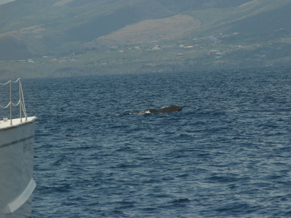 1c05b5fc-6429-4728-8e02-a4b93d0a2b46