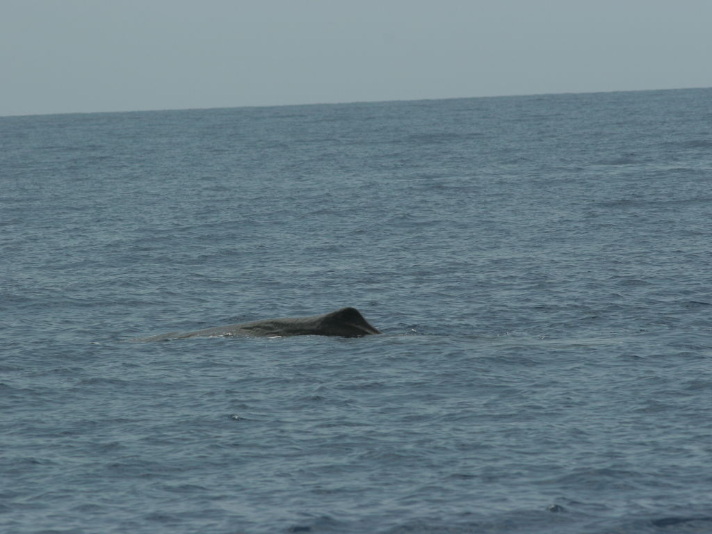 a11b3daf-69c6-48c5-b6dc-4d8b127d59a3